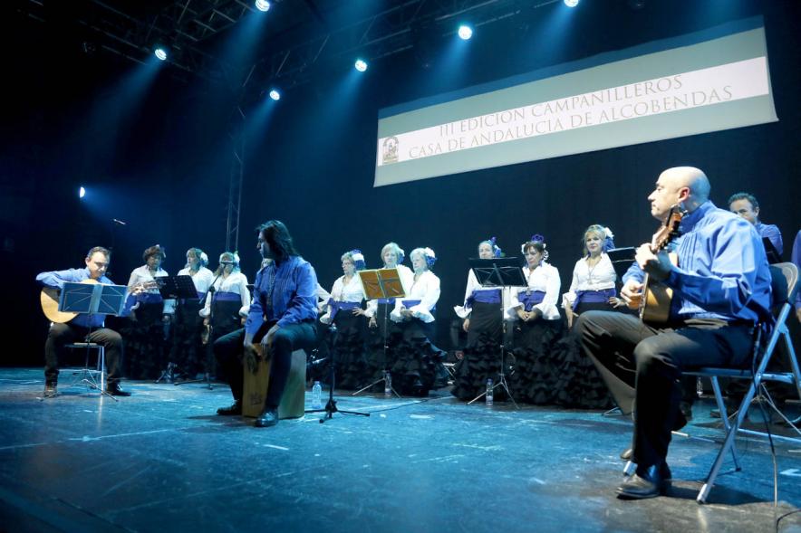 Concierto de Villancicos - Gala Campanilleros -Imagen lateral del escenario con el grupo musical.