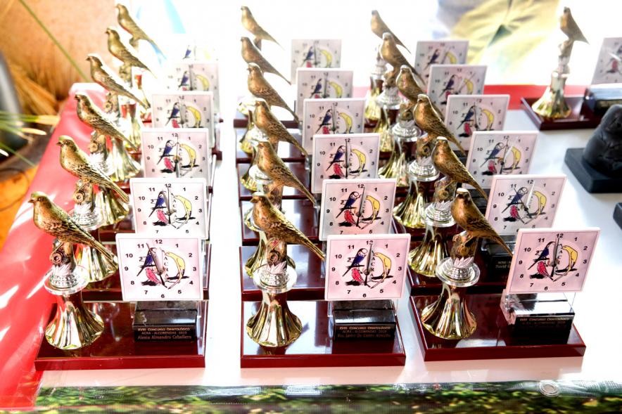 Trofeos - 2019