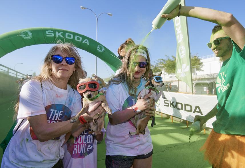Carrera Color Run - Imagen participantes en la carrera con nubes de polvo de color verde.
