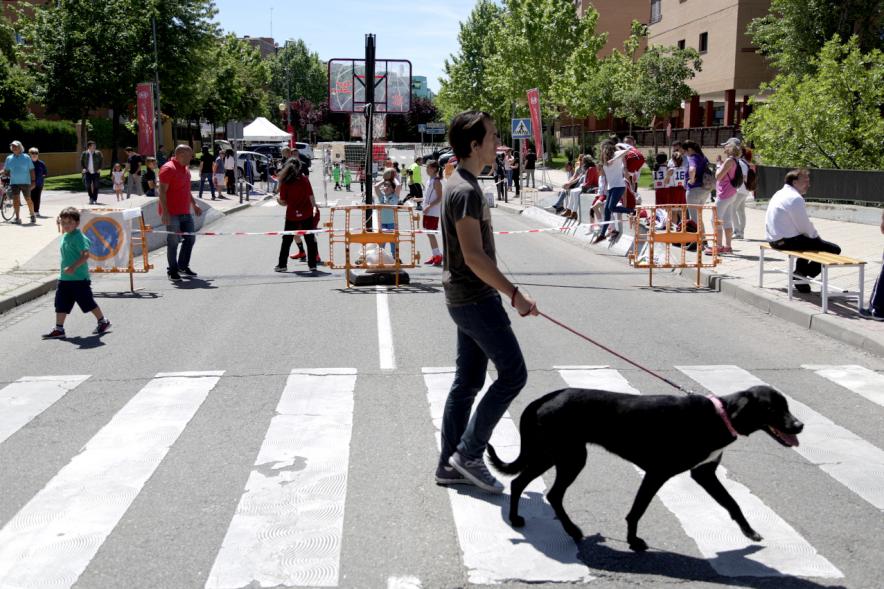 Persona paseando al perro entre los eventos deportivos