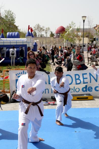 Katas de artes marciales