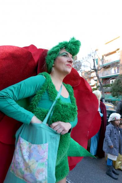 Desfile de Carnaval 2017 - El desfile.