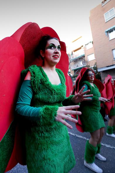 Desfile de Carnaval 2017 - Un participante disfrazado