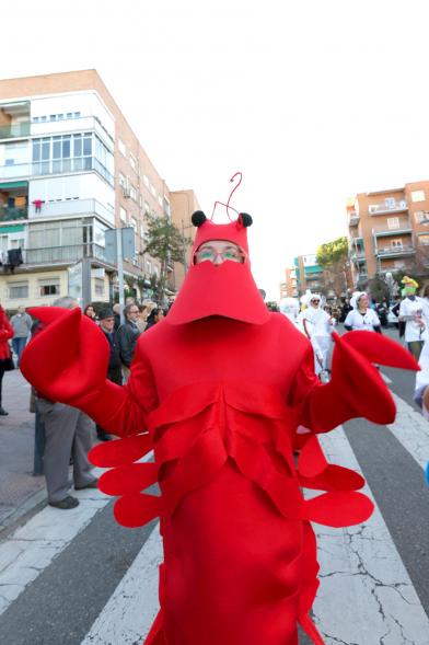Desfile de Carnaval 2017 - Un participante disfrazado.