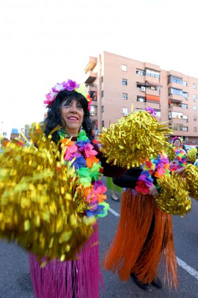 Desfile de Carnaval 2017 - Los participantes disfrazados.