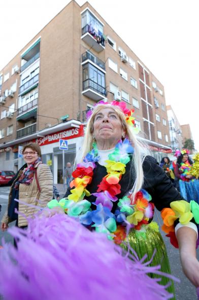Desfile de Carnaval 2017 - Los participantes disfrazados.