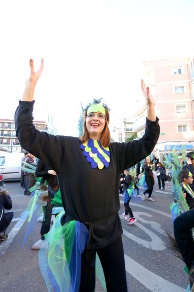 Desfile de Carnaval 2017 -  Un participante disfrazado.