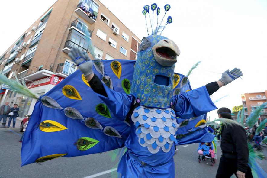 Desfile de Carnaval 2017 - Un participante disfrazado.