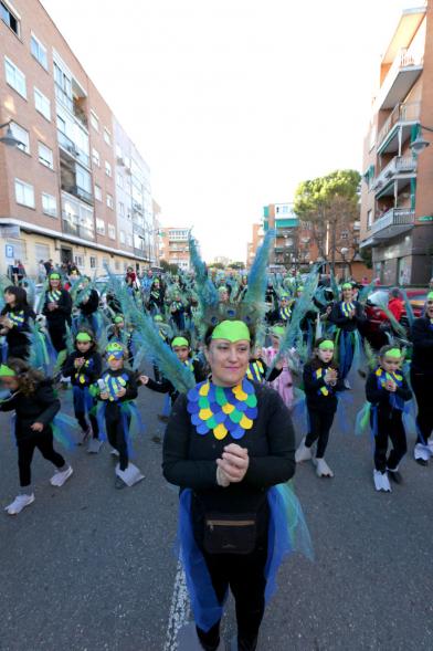 Desfile de Carnaval 2017 - Un participante disfrazado.
