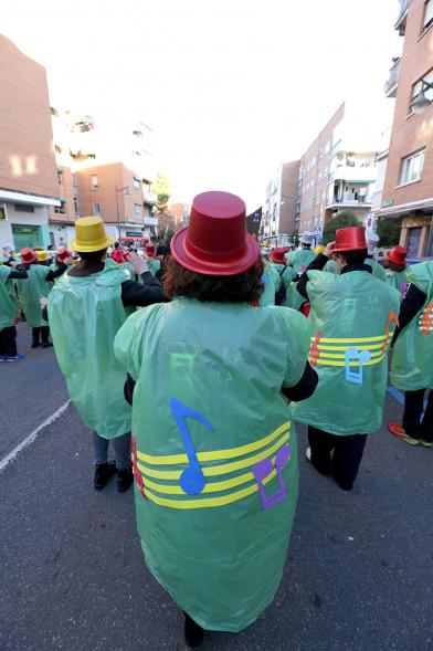Desfile de Carnaval 2017 - Los participantes disfrazados.