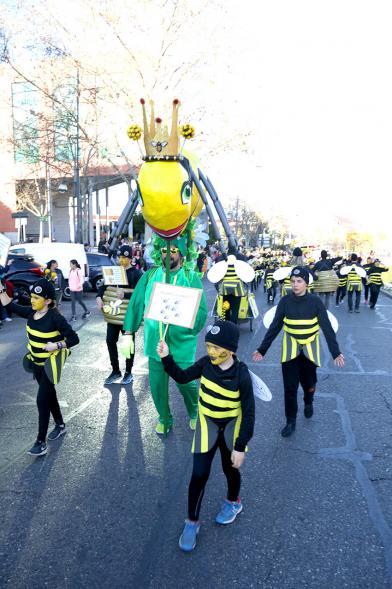 Desfile de Carnaval 2019 - 160Imagen de un momento del desfile donde estamos viendo al grupo del AMPA CEIP EMILIO CASADO disfrazados de avispas.260