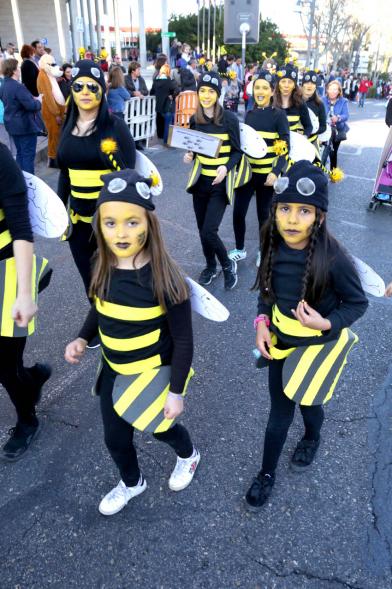 Desfile de Carnaval 2019 - Imagen de un momento del desfile donde estamos viendo al grupo del AMPA CEIP EMILIO CASADO disfrazados de avispas.