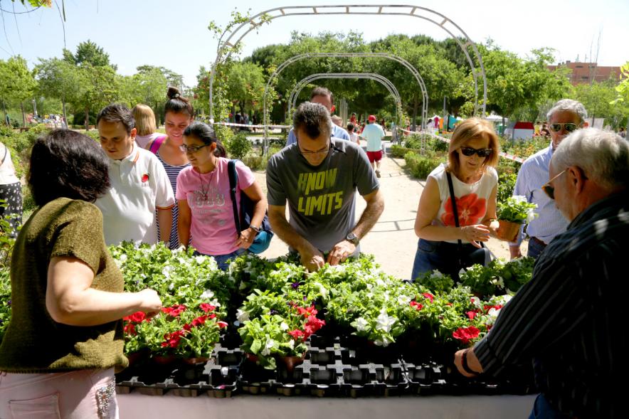Día del Medio Ambiente y Actividades de Mayores en el Arroyo de la Vega - Imagen de gente repartiendo plantas para celebrar el Día del Medio Ambiente.
