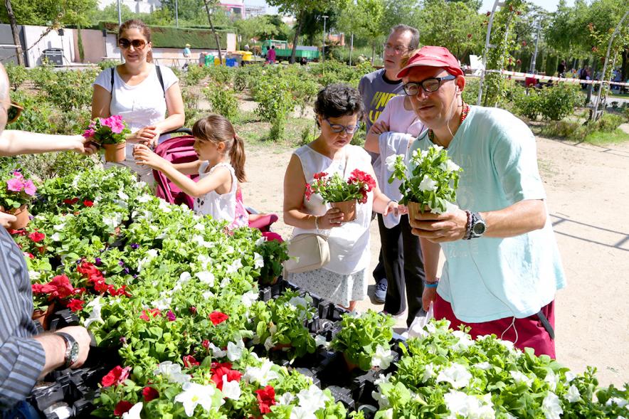 Día del Medio Ambiente y Actividades de Mayores en el Arroyo de la Vega - Imagen de gente repartiendo plantas para celebrar el Día del Medio Ambiente.