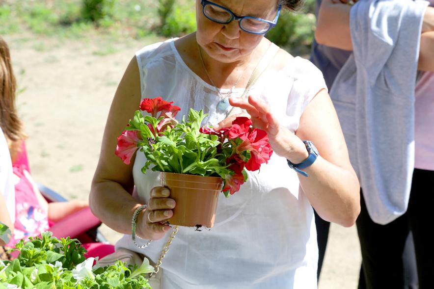 Día del Medio Ambiente y Actividades de Mayores en el Arroyo de la Vega - Imagen de una persona mirando su planta.