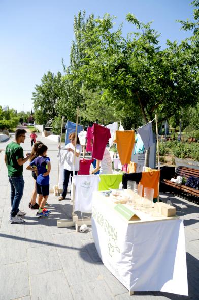 Día del Medio Ambiente y Actividades de Mayores en el Arroyo de la Vega - Imagen de personas mirando los distintos stands