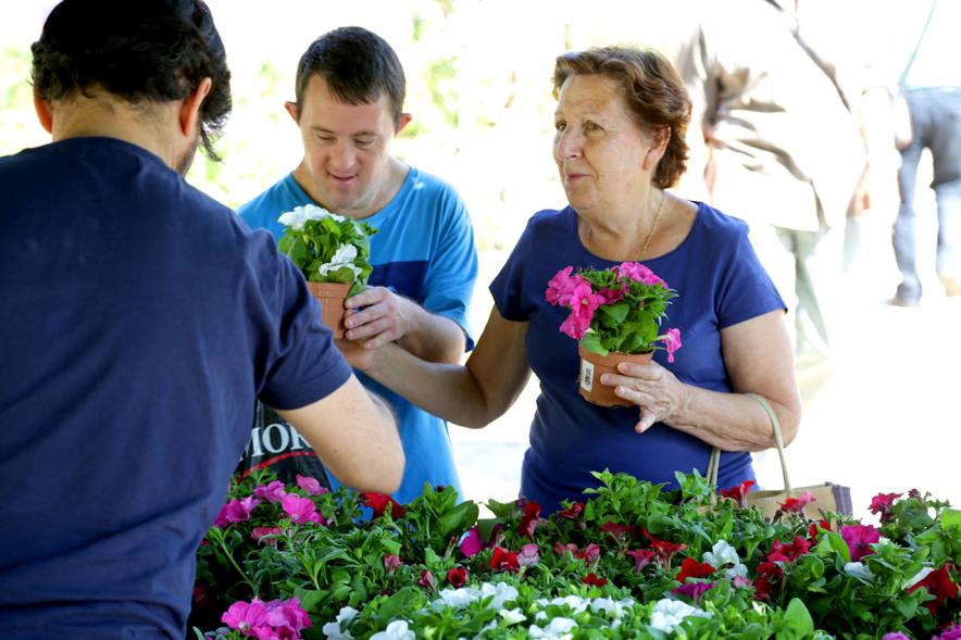 Día del Medio Ambiente y Actividades de Mayores en el Arroyo de la Vega - Imagen de gente repartiendo plantas para celebrar el Día del Medio Ambiente.