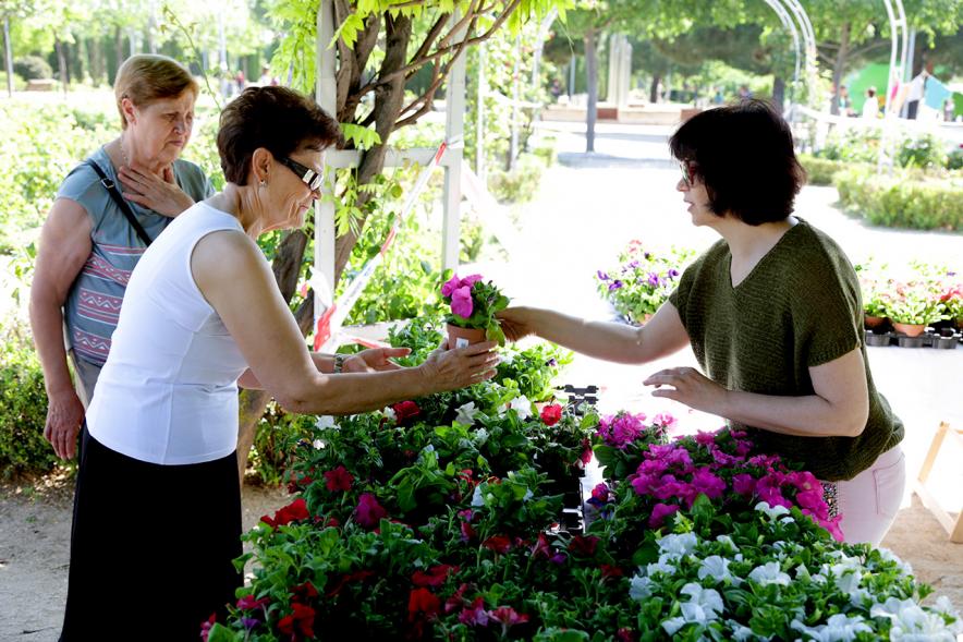 Día del Medio Ambiente y Actividades de Mayores en el Arroyo de la Vega - Imagen de gente repartiendo plantas para celebrar el Día del Medio Ambiente.