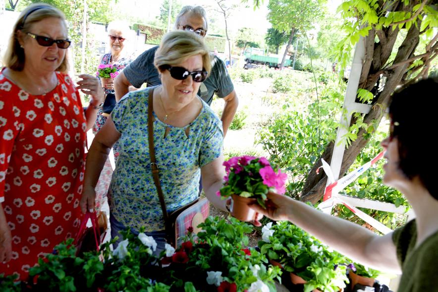 Día del Medio Ambiente y Actividades de Mayores en el Arroyo de la Vega - Imagen de gente repartiendo plantas para celebrar el Día del Medio Ambiente.