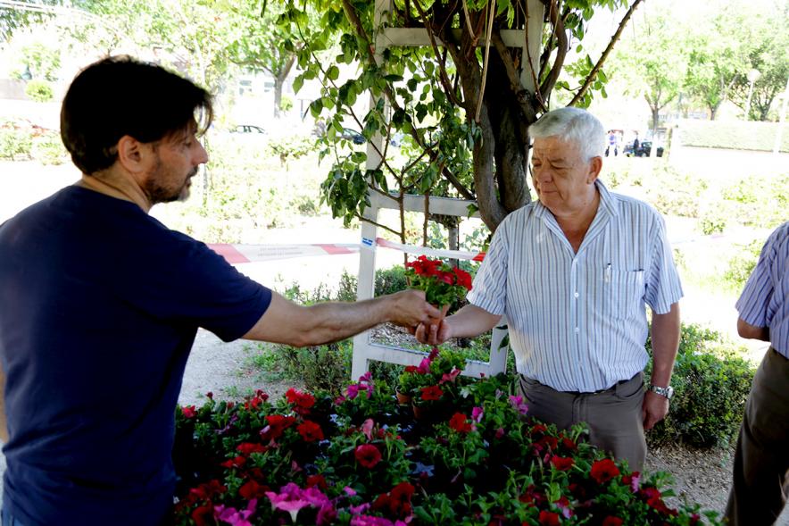 Día del Medio Ambiente y Actividades de Mayores en el Arroyo de la Vega - Imagen de gente repartiendo plantas para celebrar el Día del Medio Ambiente.