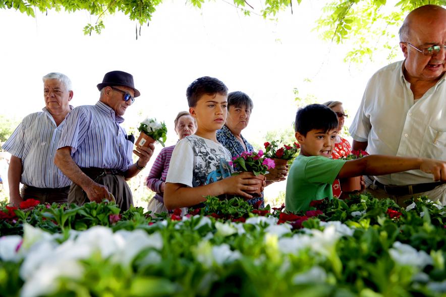 Día del Medio Ambiente y Actividades de Mayores en el Arroyo de la Vega - Imagen de gente repartiendo plantas para celebrar el Día del Medio Ambiente.