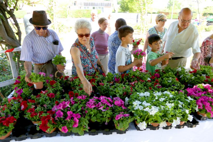 Día del Medio Ambiente y Actividades de Mayores en el Arroyo de la Vega - Imagen de gente repartiendo plantas para celebrar el Día del Medio Ambiente.