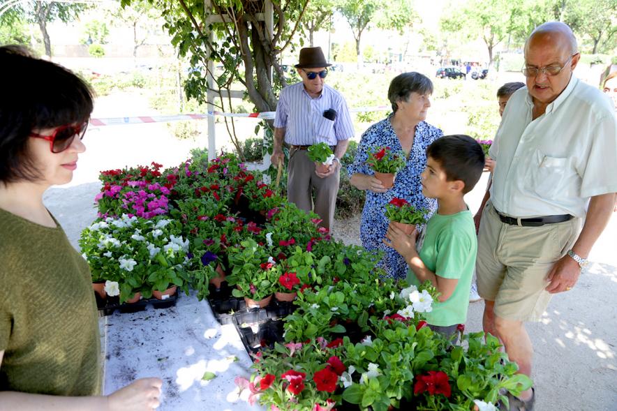 Día del Medio Ambiente y Actividades de Mayores en el Arroyo de la Vega - Imagen de gente repartiendo plantas para celebrar el Día del Medio Ambiente.