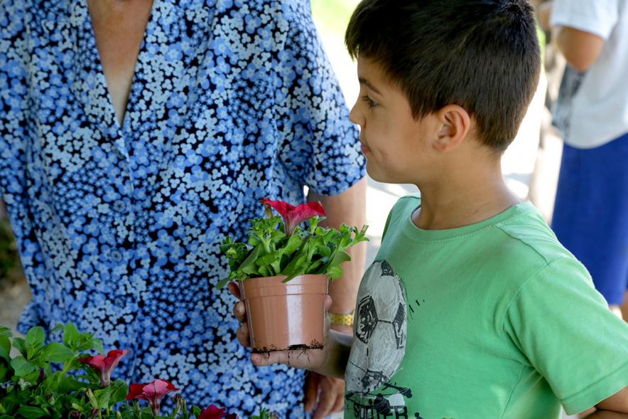 Día del Medio Ambiente y Actividades de Mayores en el Arroyo de la Vega - Imagen de una persona mirando su planta.