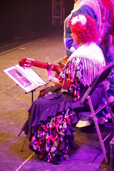 Día de Andalucía en La Esfera - Imagen de guitarrista en el escenario.
