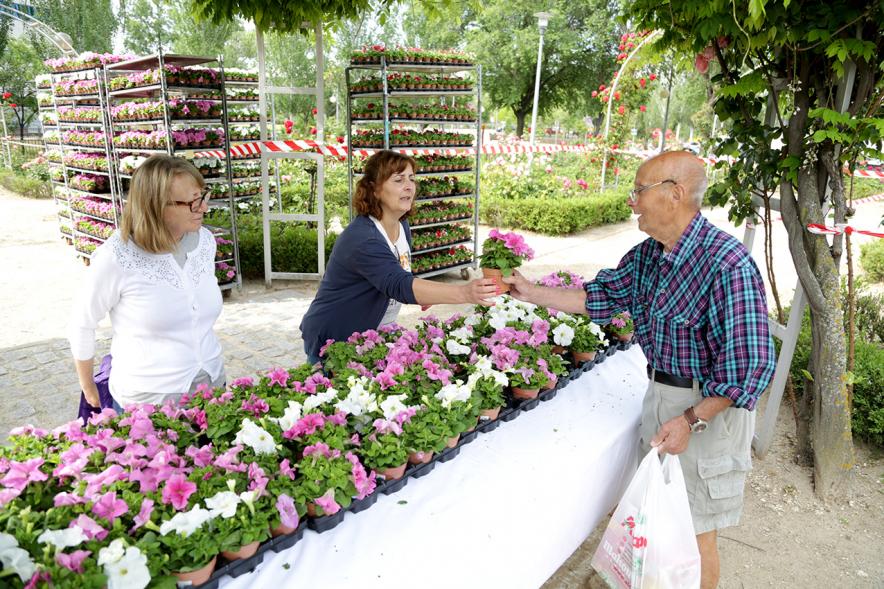 Día Mundial del Medio Ambiente - Regalando plantas en el día del Medio Ambiente.