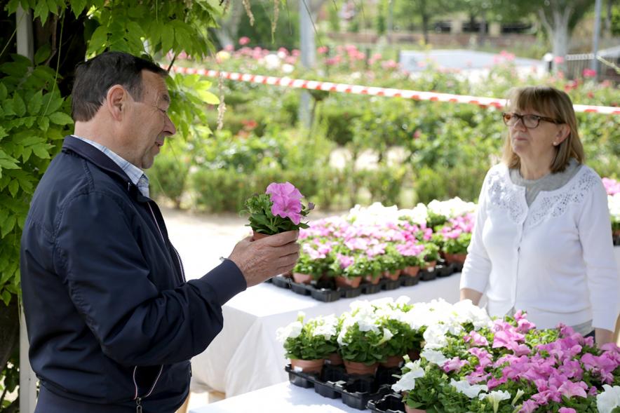 Día Mundial del Medio Ambiente -  Regalando plantas en el día del Medio Ambiente.