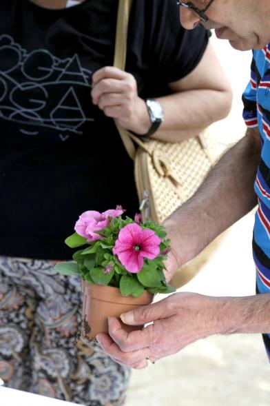 Día Mundial del Medio Ambiente -  Regalando plantas en el día del Medio Ambiente.