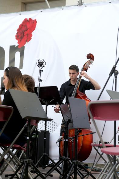 Miembros de la banda con instrumentos de cuerda