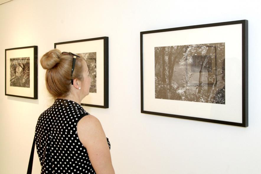 Inauguración Exposición Memorandum Natura - Imagen de una persona admirando las fotografías.