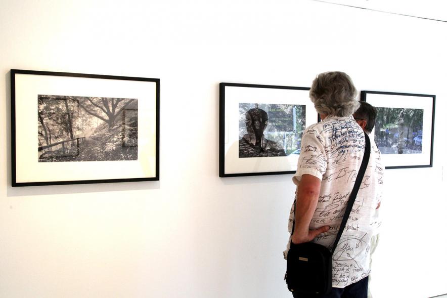 Inauguración Exposición Memorandum Natura - Imagen de una persona admirando las fotografías.