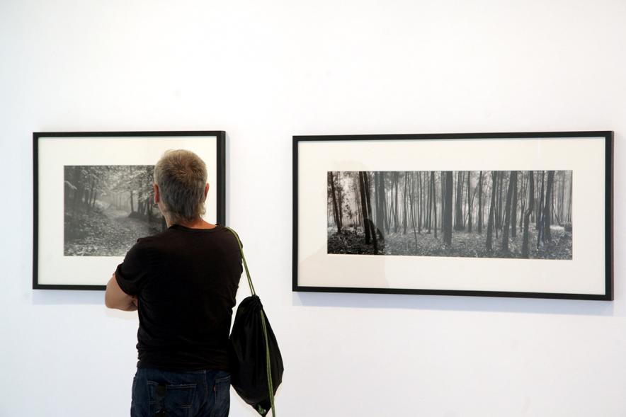 Inauguración Exposición Memorandum Natura - Imagen de una persona admirando las fotografías.