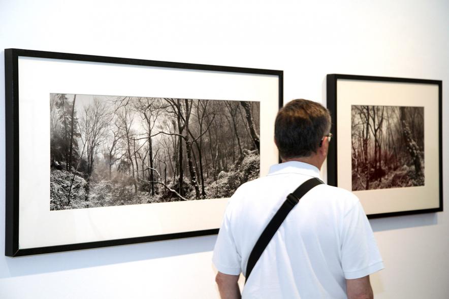Inauguración Exposición Memorandum Natura - Imagen de una persona admirando las fotografías.