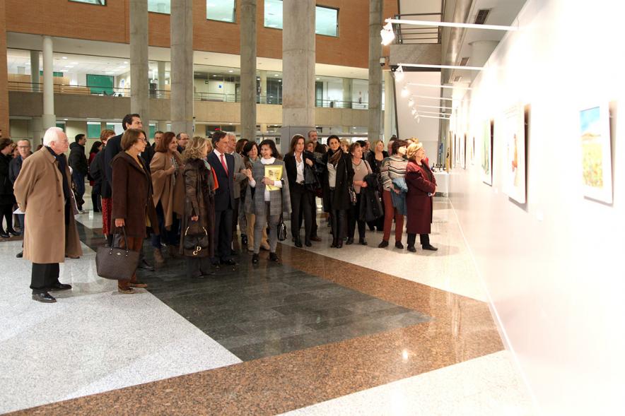 Inauguración Exposición de Elena Vizcaíno .