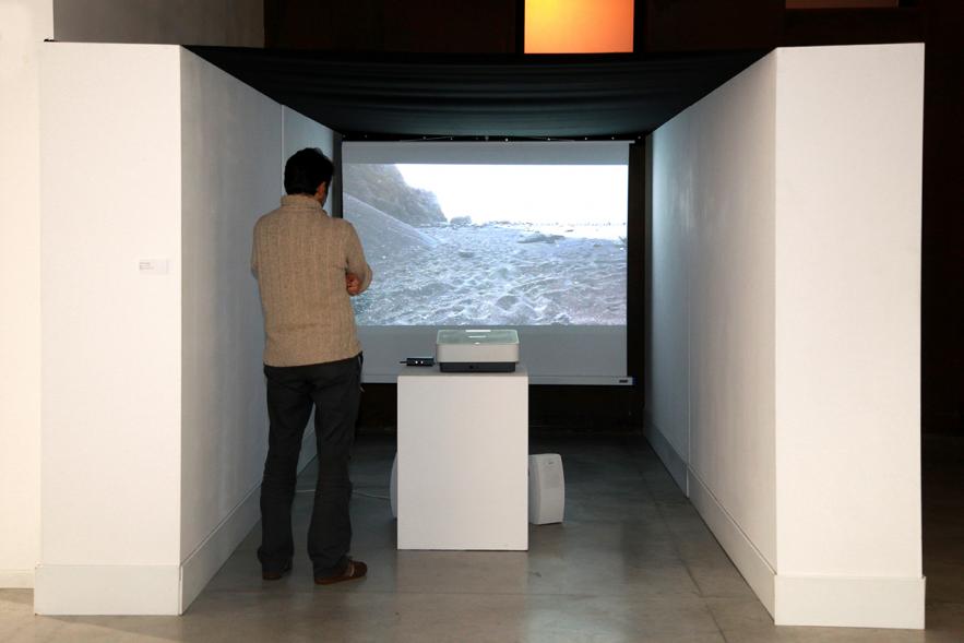 Inauguración de la Exposición "En lo Salvaje" en el Cantro de Arte - Persona mirando imagen de la exposición.