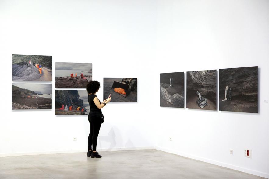 Inauguración de la Exposición "En lo Salvaje" en el Cantro de Arte - Persona mirando imagen de la exposición.