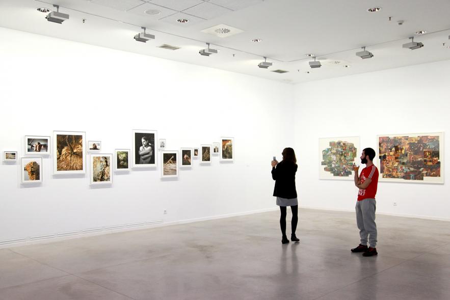 Inauguración de la Exposición "En lo Salvaje" en el Cantro de Arte - Personas mirando imagen de la exposición.