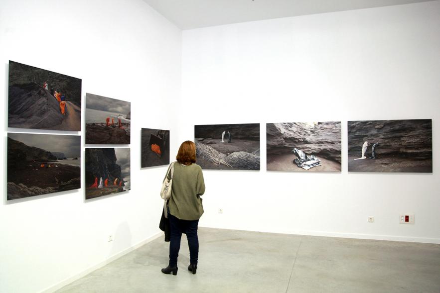 Inauguración de la Exposición "En lo Salvaje" en el Cantro de Arte - Persona mirando imagen de la exposición.
