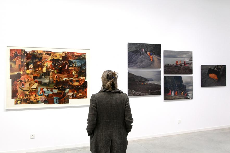 Inauguración de la Exposición "En lo Salvaje" en el Cantro de Arte - Persona mirando imágenes de la exposición.
