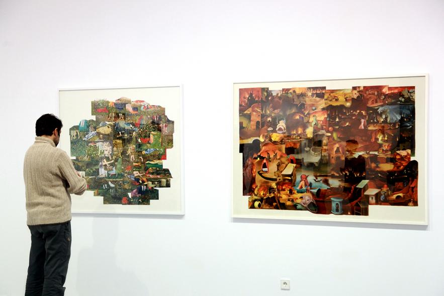 Inauguración de la Exposición "En lo Salvaje" en el Cantro de Arte - Persona mirando imágenes de la exposición.