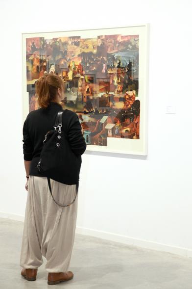 Inauguración de la Exposición "En lo Salvaje" en el Cantro de Arte - Persona mirando imagen de la exposición.
