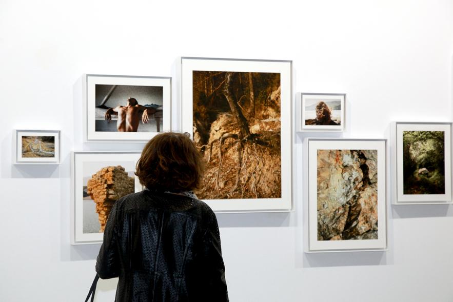 Inauguración de la Exposición "En lo Salvaje" en el Cantro de Arte - Persona mirando imágenes de la exposición.