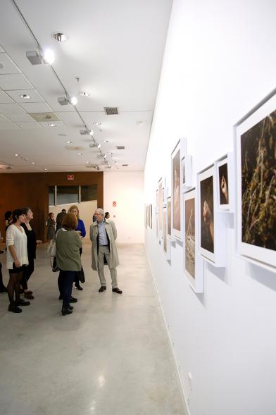 Inauguración de la Exposición "En lo Salvaje" en el Cantro de Arte - Personas mirando imágenes de la exposición.