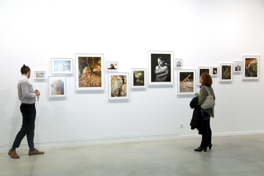 Inauguración de la Exposición "En lo Salvaje" en el Cantro de Arte - Personas mirando imágenes de la exposición.