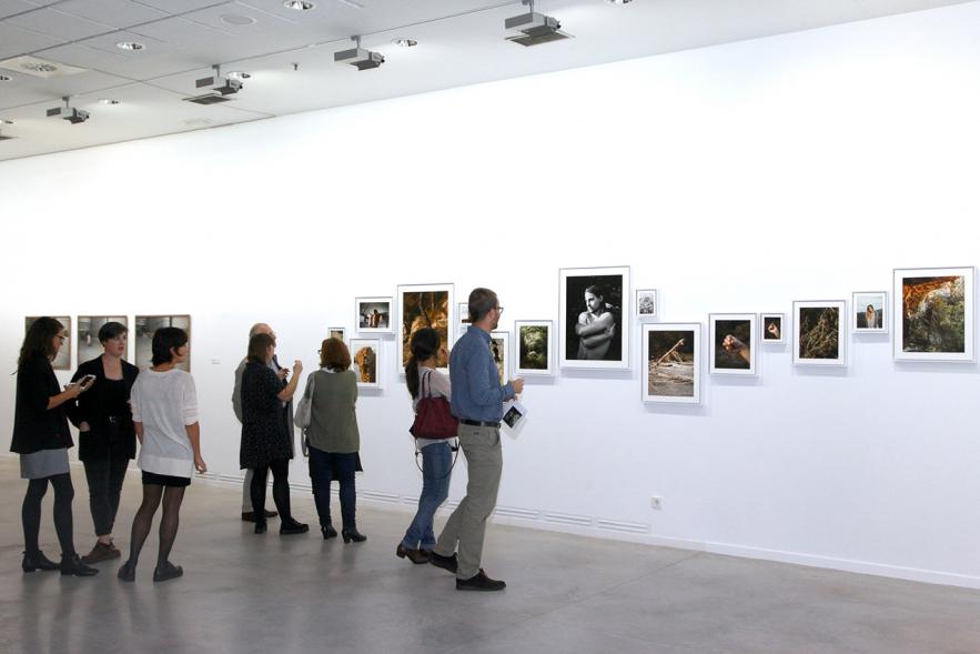 Inauguración de la Exposición "En lo Salvaje" en el Cantro de Arte - Personas mirando imágenes de la exposición.
