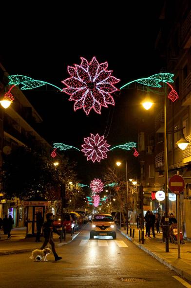 Encendido de Luces de Navidad 2019 - Plano abierto de una cenefa de luces de Navidad.